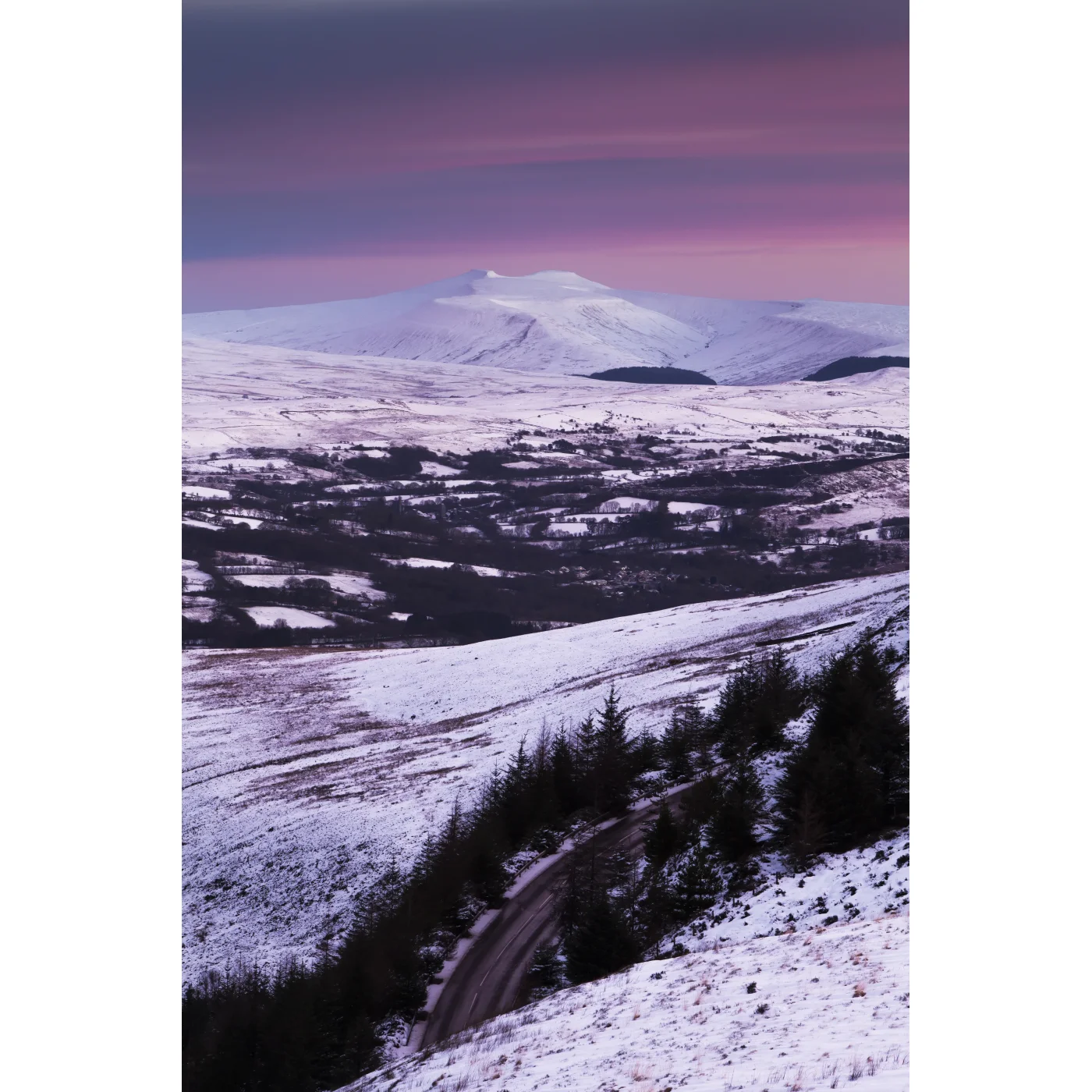 Open Edition Print 116