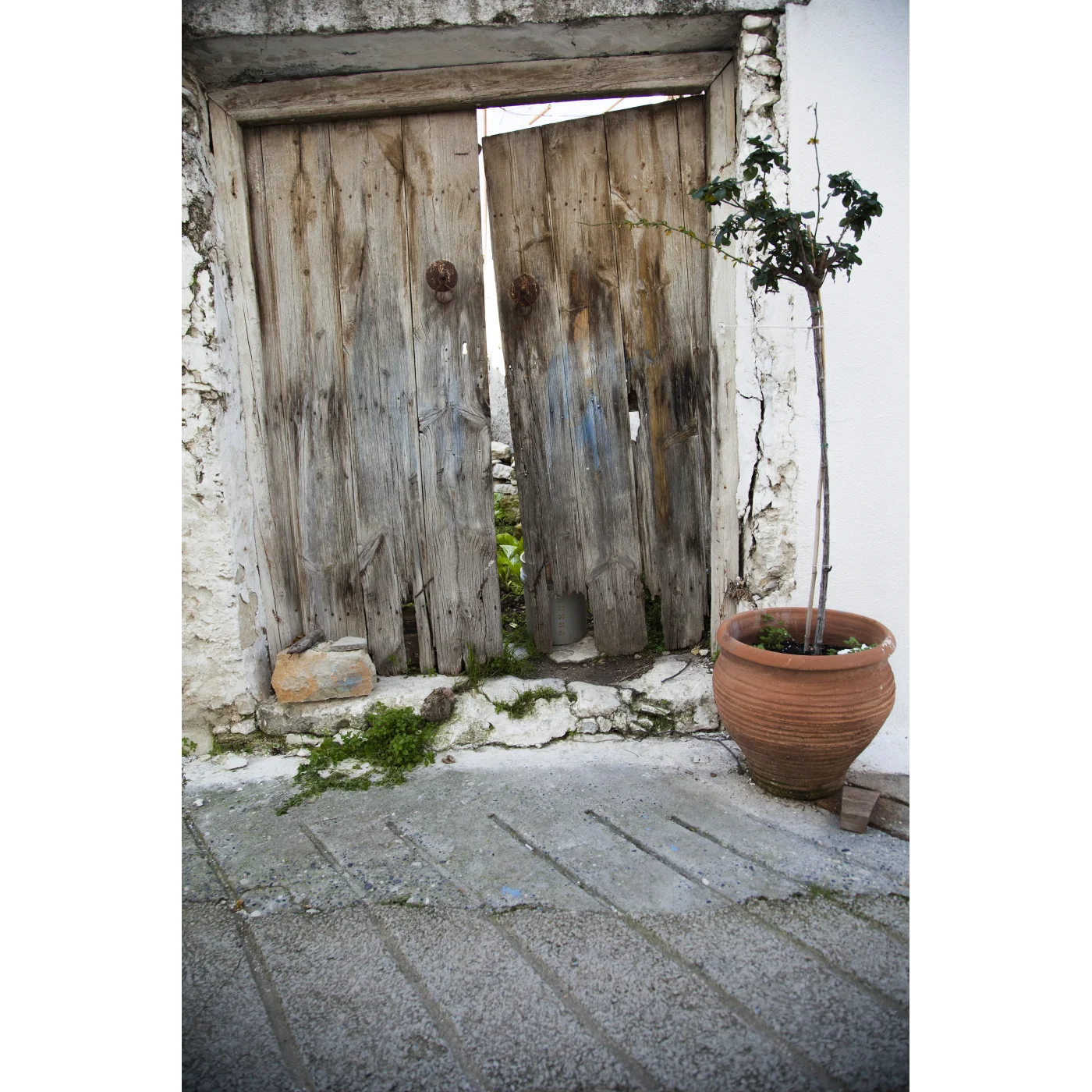 Open Edition Print 119