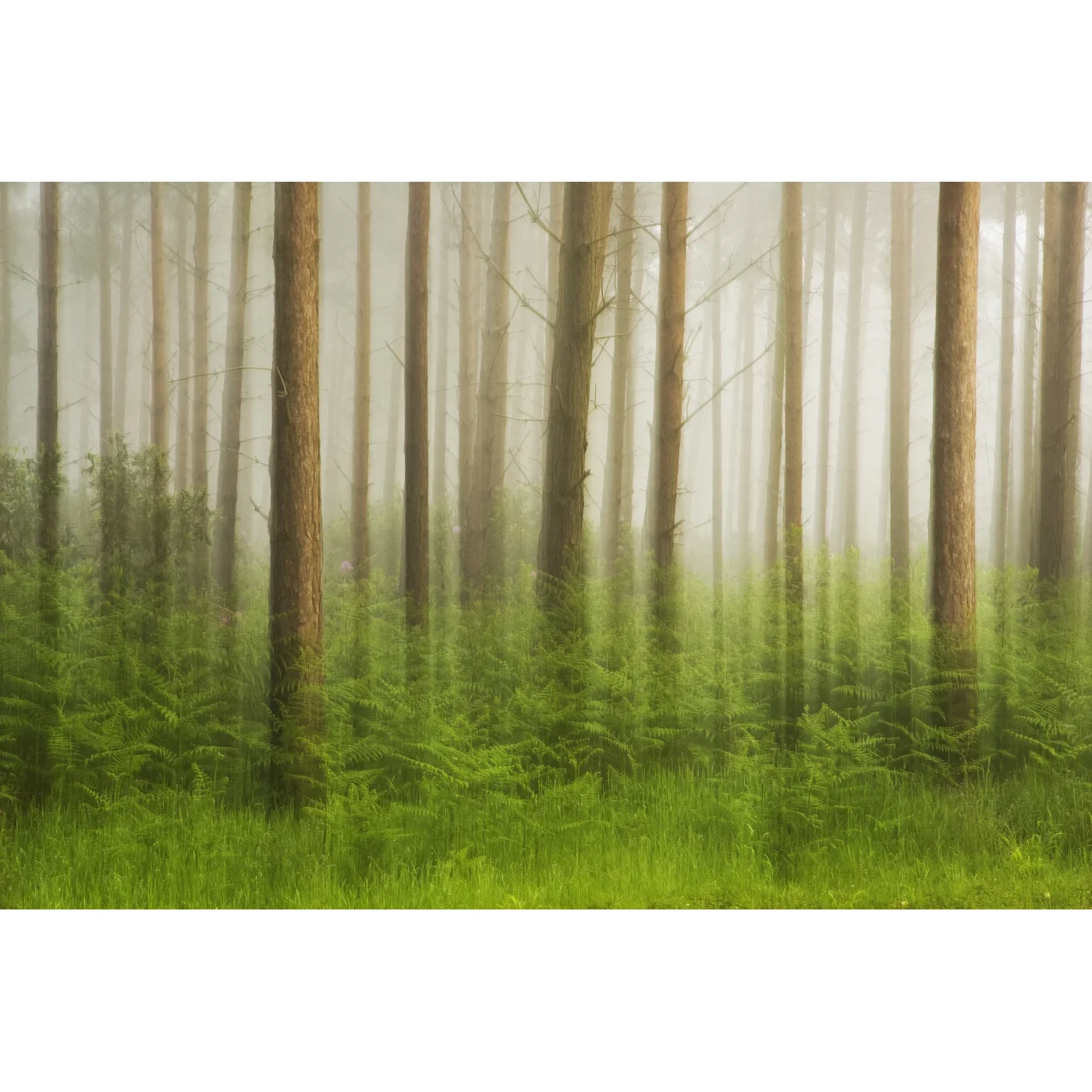 Open Edition Print 159